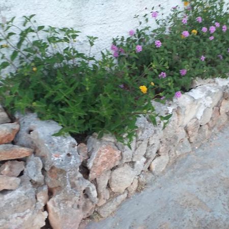 La Villa Di Luca Ostuni Zewnętrze zdjęcie