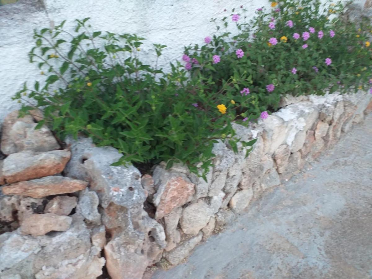 La Villa Di Luca Ostuni Zewnętrze zdjęcie
